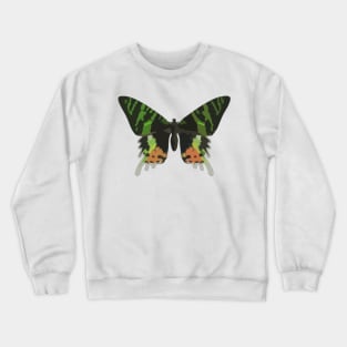 Madagascan Sunset Moth Digital Painting Crewneck Sweatshirt